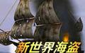 新世界的海盗