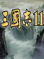 三国志11:世界风云