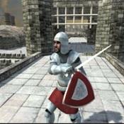 中世纪的生存世界3D(Medieval Survival World 3D)破解版