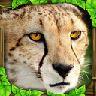 猎豹模拟器 Cheetah Sim