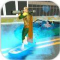水滑板城市英雄3D游戏中文汉化版（Walter Fall）