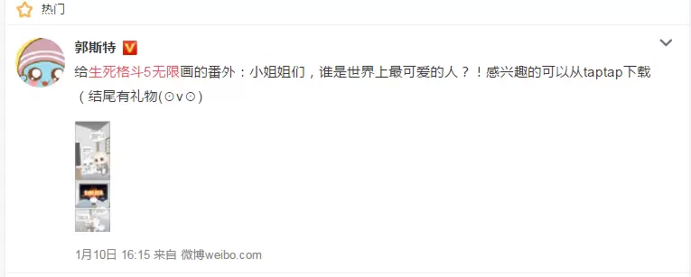 网综新玩法！《生死格斗5无限》打造IP定制化营销新思路