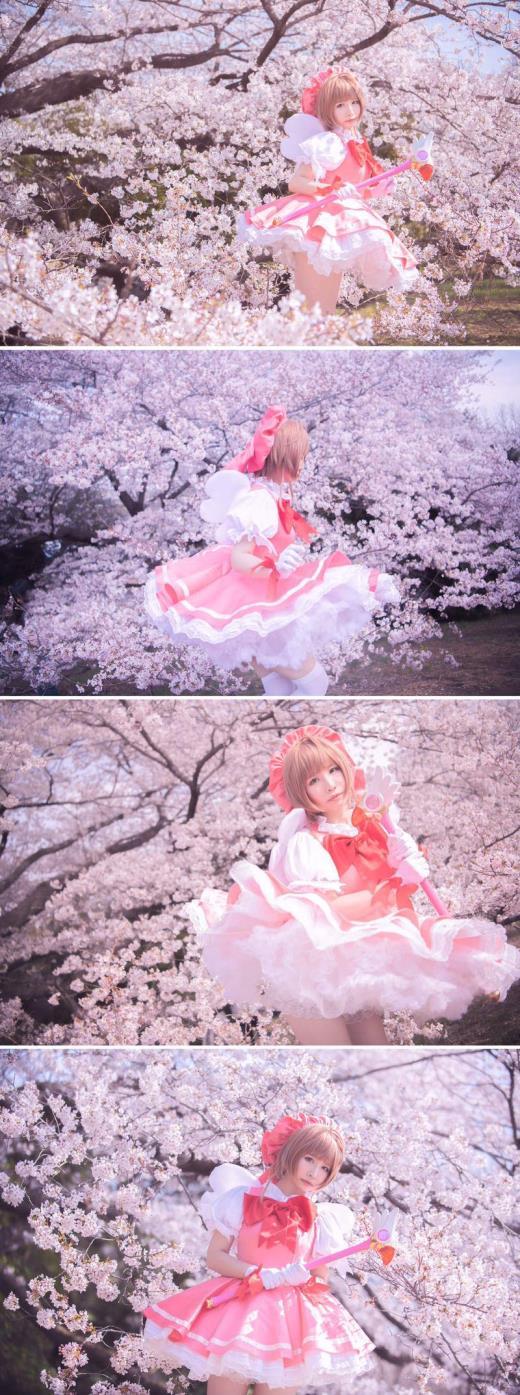 美女Coser收藏《魔卡少女樱》周边 获吉尼斯世界纪录