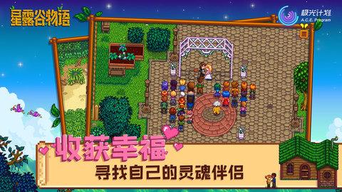 星露谷物语无限硬木版