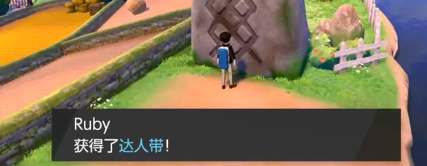 宝可梦剑盾草路镇宝藏