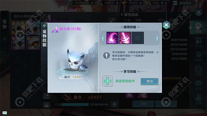 雪鹰领主宠物玩法