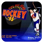NHL全明星大赛95