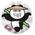 愤怒的熊猫人