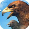 贱鸟模拟器