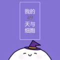 我的49天与细胞
