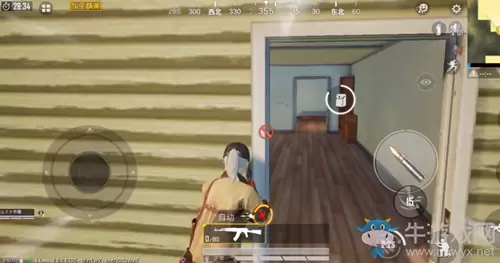 《和平精英》突击兵子弹穿墙bug