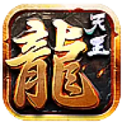 天王大极品单职业