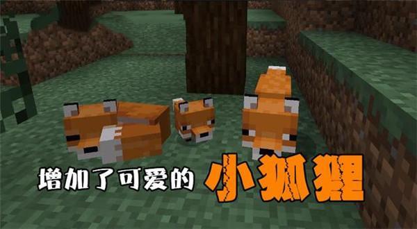 我的世界狐狸有什么用?狐狸特点介绍攻略 我的世界狐狸有什么用?狐狸特点介绍攻略