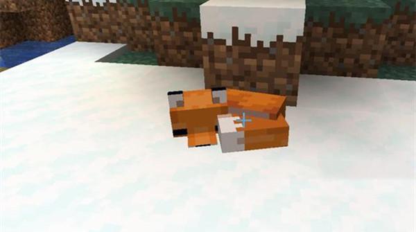 我的世界狐狸有什么用?狐狸特点介绍攻略 我的世界狐狸有什么用?狐狸特点介绍攻略