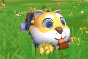 创造与魔法贝壳许愿池