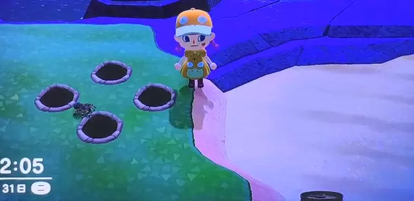 动物森友会狼蛛几点出现