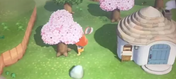 动物森友会樱花花瓣怎么获得