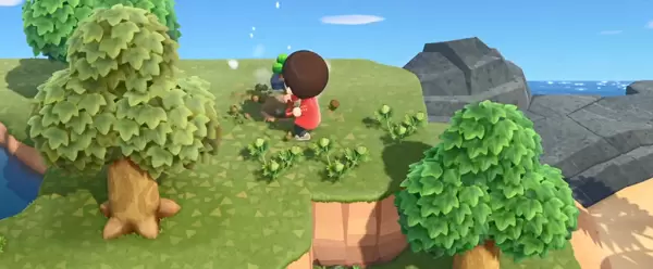 动物森友会怎么挖树