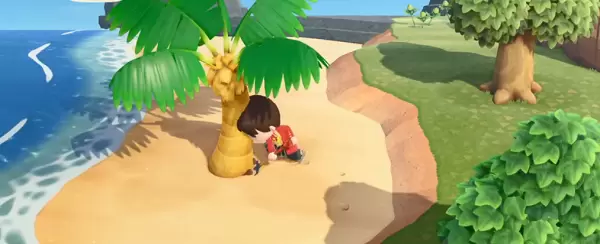 动物森友会怎么移植树