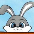 奔跑的小兔子