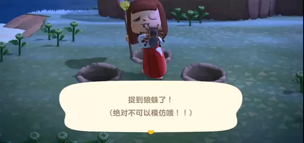 动物森友会怎么刷狼蛛