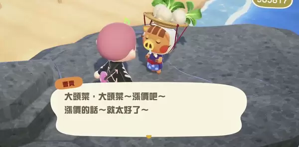 动物森友会大头菜价格几点更新