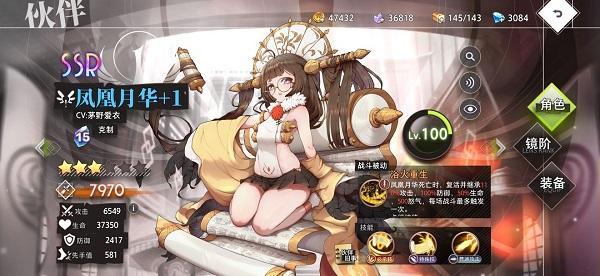 命运神界ssr排行