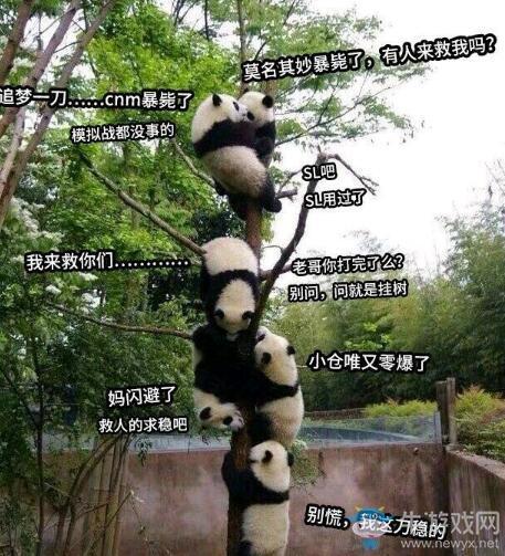 《公主连结Re：Dive》国服黑话术语大全