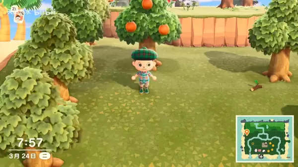 动物森友会怎么种果树