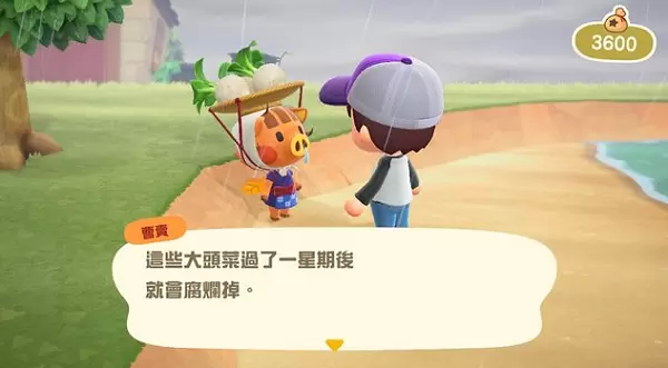 动物森友会曹卖在哪