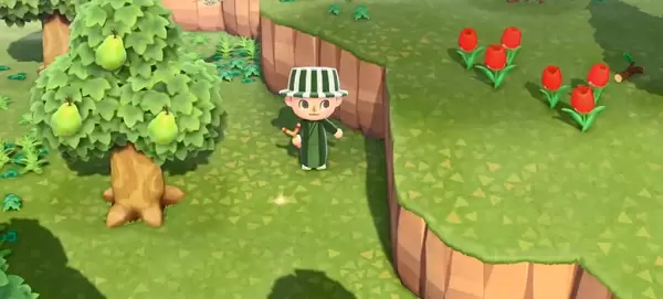 动物森友会怎么种摇钱树