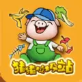猪猪垃圾站