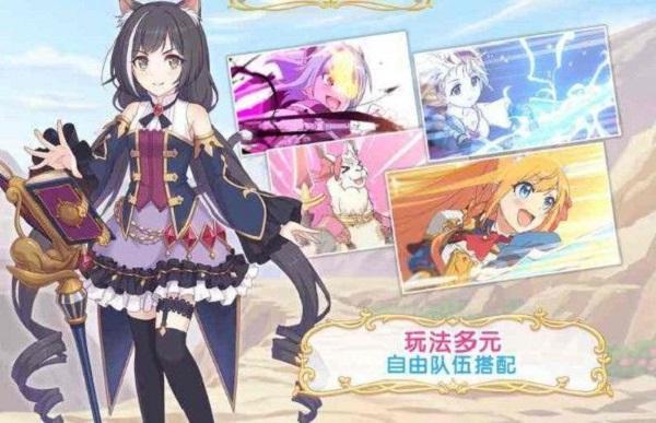 公主连接r8多少级