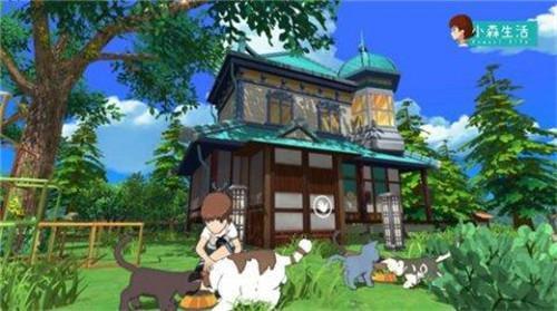 小森生活猫咪怎么领养 小森生活猫咪怎么领养