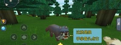 《迷你世界》动物怎么生孩子