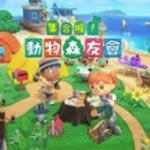猛男捡树枝