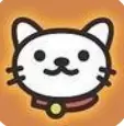 天天遛猫养猫