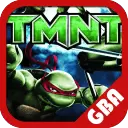 忍者神龟格斗版