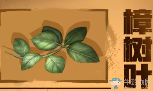 《明日之后》樟树叶获得方法介绍