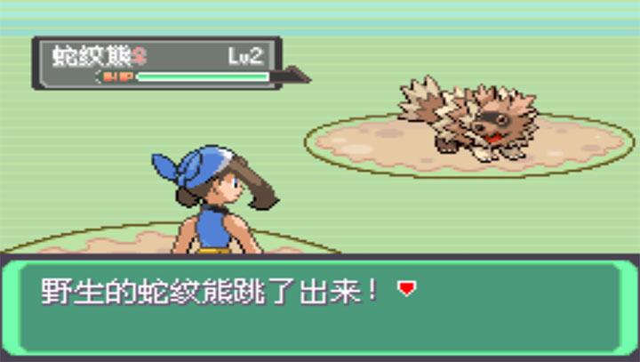 口袋妖怪