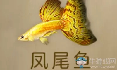 《明日之后》凤尾鱼获得方法介绍