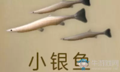 《明日之后》小银鱼获得方法介绍