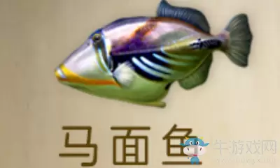 《明日之后》马面鱼获得方法介绍