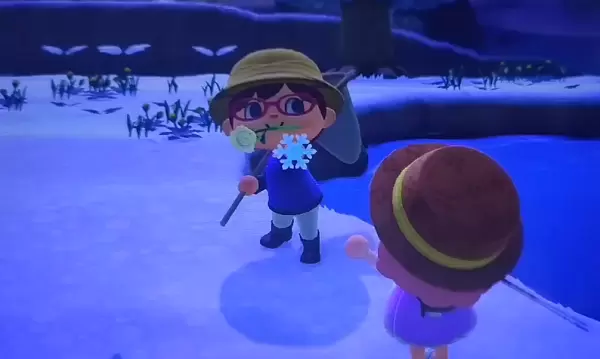 动物森友会雪花有什么用