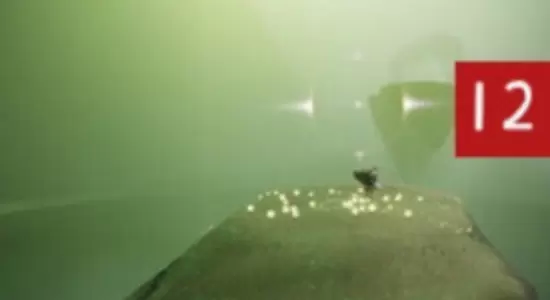 光遇雨林光之翼位置