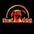 THIEF DOG