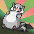 Raccoon