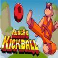 功夫踢球