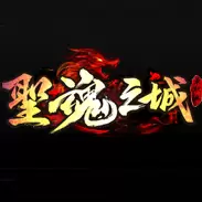 圣魂之城单职业