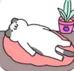 喵喵合成屋Purrfect Cats